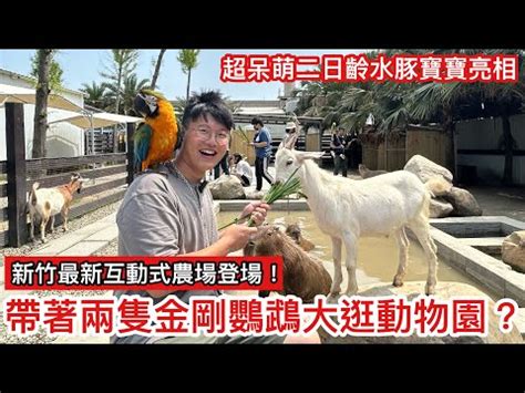 鸚鵡小木屋爭議|【鸚鵡小木屋 爭議】鸚鵡小木屋掀爭議！鳥飼料出包。